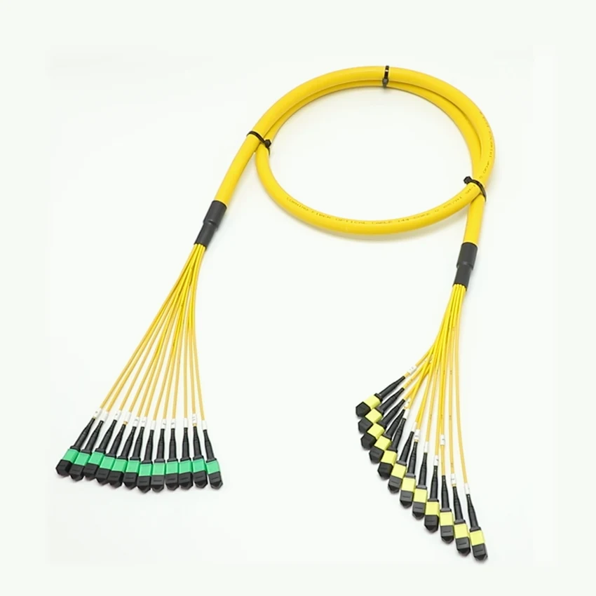 MPO MTP multi-fiber connector array